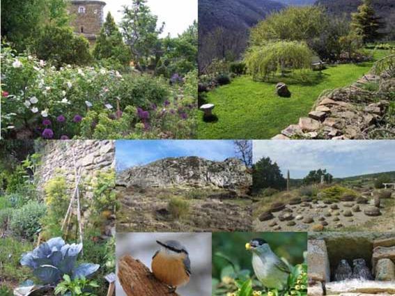 Les Jardins De L'Abbaye Villa Simiane-la-Rotonde Cameră foto