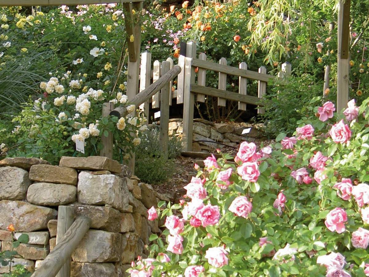 Les Jardins De L'Abbaye Villa Simiane-la-Rotonde Cameră foto