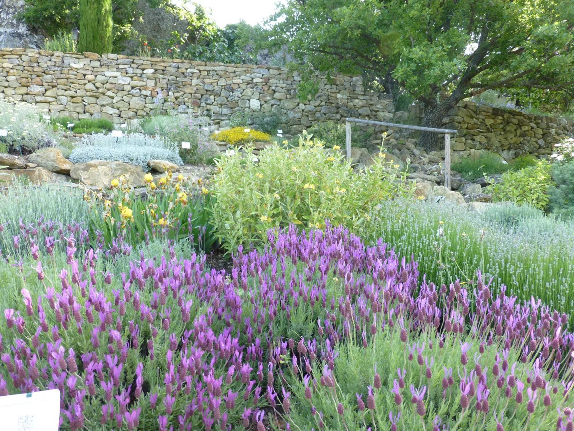 Les Jardins De L'Abbaye Villa Simiane-la-Rotonde Cameră foto